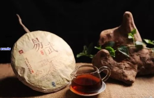 普洱茶的魅力：一天一杯，健生活从这里开始