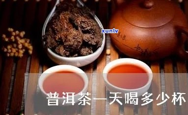 普洱茶每天一杯好吗