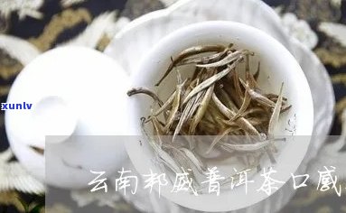 立威普洱茶：口感、品质与适口性分析