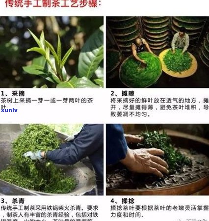 普洱茶的燥感和锁喉：探讨其原因及解决 *** 