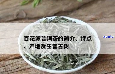 百花潭普洱茶：产区、品种、品质与泡法全面解析