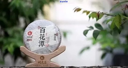 百花潭普洱茶：源自云南古茶山，品味醇厚的独特魅力与历文化底蕴