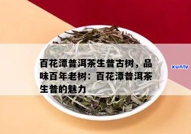 百花潭普洱茶生普古树：介绍、特点与价格