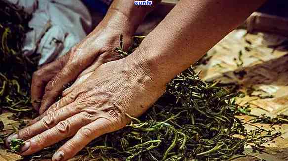 普洱茶对舌苔的影响：舌苔发黑的原因及解决 *** 