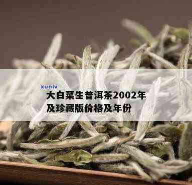 2002年大白菜普洱茶：年份、品质、泡法与品鉴，一次全面的解析