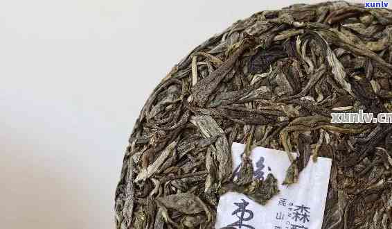 酿茗庐普洱茶品质如何？口感好喝吗？了解全面评价与品鉴技巧