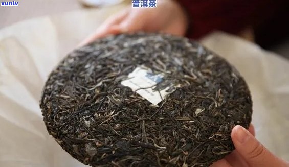 普洱茶购买指南：一斤送几斤更划算？如何选择合适的赠送重量？