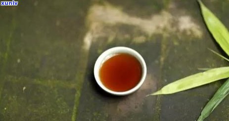 普洱茶树种分类：一类树、二类树及区别详解，让您轻松掌握普洱茶知识