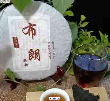 新 「珍藏版布朗普洱熟茶：稀有陈年，越品质，特收藏」