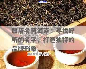 新探索普洱茶的世界：两个字的茶叶名字解析与品鉴攻略