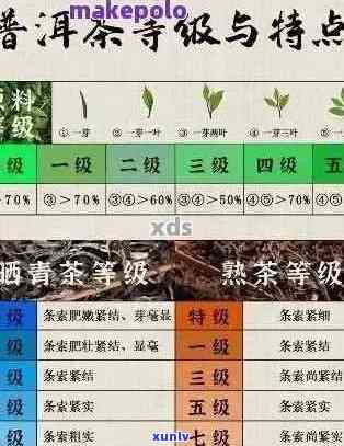 新探索普洱茶的世界：两个字的茶叶名字解析与品鉴攻略