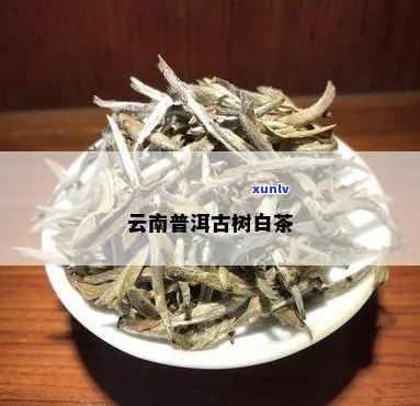 从零开始学习翡翠项链编织技巧，打造专属于你的优雅风范