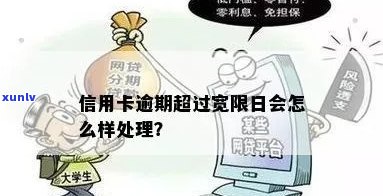 从零开始学习翡翠项链编织技巧，打造专属于你的优雅风范