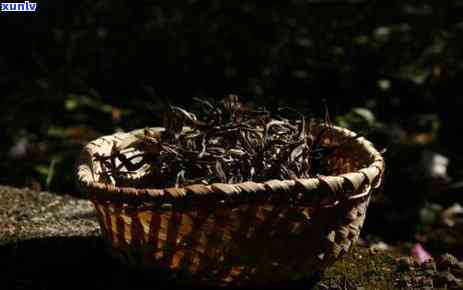 普洱茶霉变味能喝吗？600克的普洱茶出现霉点还能继续饮用吗？