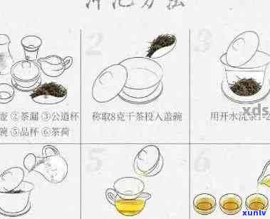 普洱茶泡法详解：从选择器具到冲泡技巧，一篇全面指南