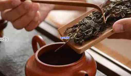 普洱茶：泡茶艺术与科学，你不可不知的10个小贴士