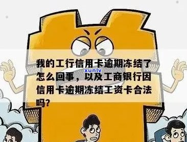 翡翠珠链的颗数与价值的关系分析：多少颗才是真正的稀有？