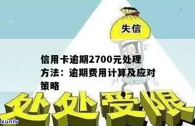 信用卡逾期费用很贵怎么办如何处理信用卡逾期费用，计算 *** 与应对策略