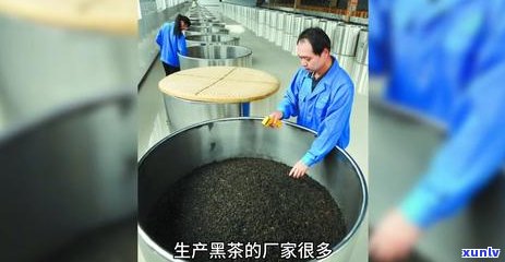 熟普洱茶的冲泡次数及饮用 *** ，让你喝出口感