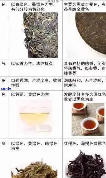 普洱茶的出堆色味：从 *** 到品尝全方位解析