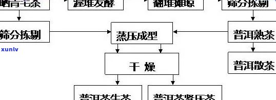 整提普洱茶外包装的工艺流程与要求