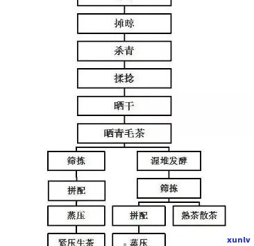 整提普洱茶外包装的工艺流程与要求