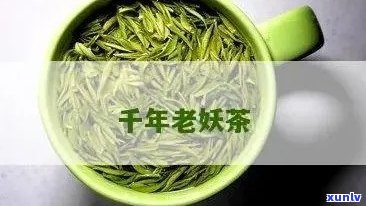 千年老妖茶叶价格及功效，你知道吗？