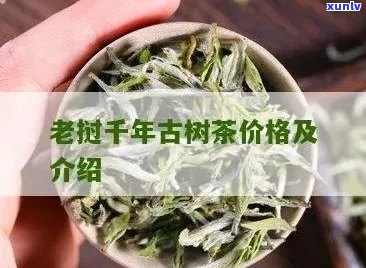 千年老妖茶叶价格及功效，你知道吗？