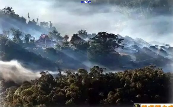 普洱茶七大山头详解，带你了解各山头的特点与品质