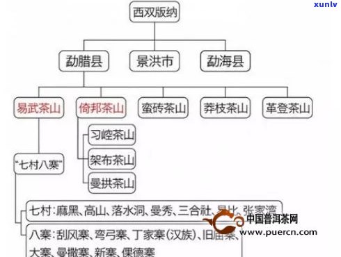 普洱茶都有哪几个山头-普洱茶都有哪几个山头品种