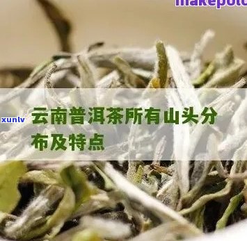 普洱茶都有哪几个山头-普洱茶都有哪几个山头品种