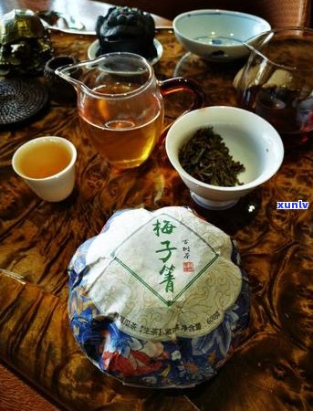 普洱茶饼纸的用途与安全性：是否适合泡茶及是否有潜在害？