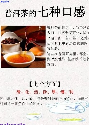 记普洱茶8582:品种特点、品质评价与冲泡 *** 的全面指南