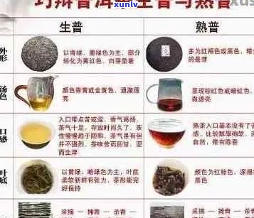 百中堂普洱茶的全面功效与作用解析：为何它备受推崇并适用于各种人群？