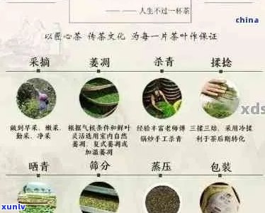 百中堂普洱茶的全面功效与作用解析：为何它备受推崇并适用于各种人群？