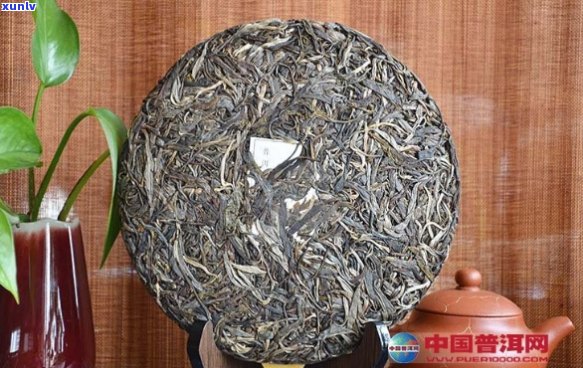 百中堂普洱茶：品质、年份与价格的关系解析