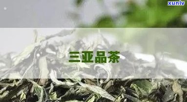 三亚茶叶都有哪些：三亚茶叶知名推荐