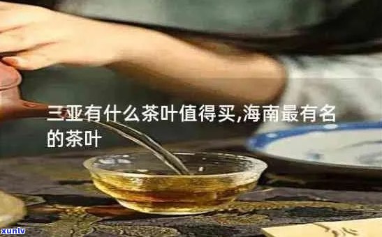 三亚优质茶叶店推荐：探索正宗海南茶文化与购买之道