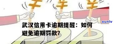 武汉信用卡逾期清算：解决 *** 、影响、风险与防范措