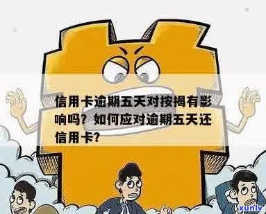 贡润祥普洱茶膏的正确喝法与搭配建议