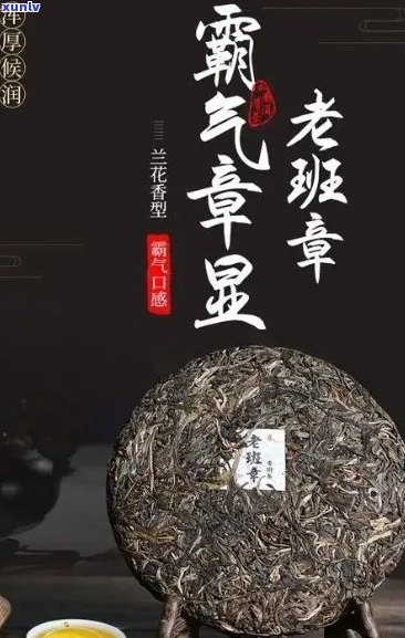 贡润祥普洱茶膏的正确喝法与搭配建议