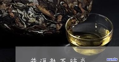 肺大泡能喝普洱茶吗