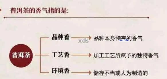 普洱茶八大香型详解：了解每种香气的特点与功效