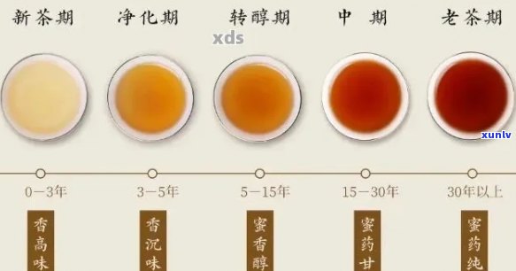 普洱茶的陈化过程：生茶在不同年份的味道变迁