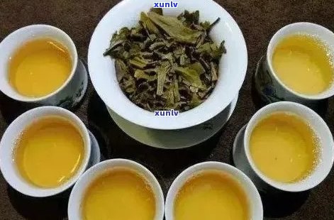 普洱茶生茶品尝指南：何时达到品质？