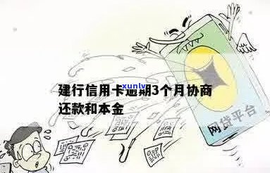 新 大叶种普洱生茶：一种自然的、纯净的力量，带你领略云南的独特魅力