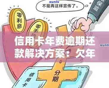 信用卡年费逾期问题全面解答：原因、影响与解决方案