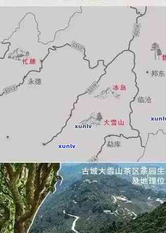 大雪山普洱茶：产地、品种、品质及购买指南的全面解析