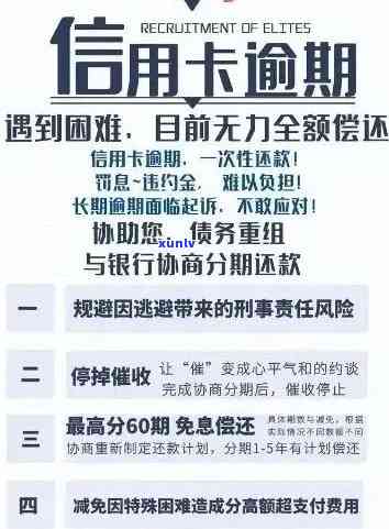 信用卡逾期还款未提醒，用户如何应对及解决相关问题？