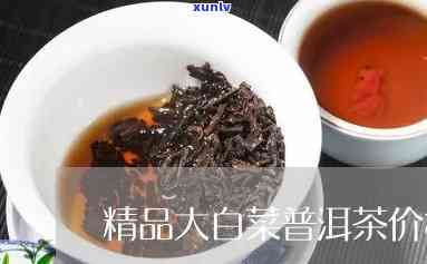 大白菜普洱茶多少钱